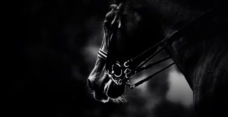 Fototapeten The black and white photograph captures the portrait of a horse wearing a bridle. The equestrian sport competitions. Equestrianism and horsemanship. The horseback riding. ©  Valeri Vatel