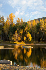 Autumn landscape on a sunny day. Yellow forest, river, mountains, reflection in water, blue sky.