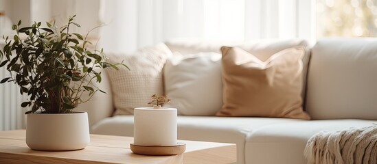 Fototapeta na wymiar house beautiful ideas concept living room interior design closeup soft beige white sofa pillow with daylight and tree plant pot on coffee table decorating cosy comfort home interior background