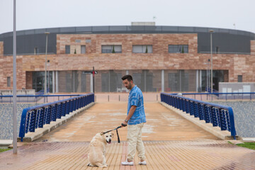 Young man walking with his brown Labrador retrieve dog. The photo is taken from behind. And in the background a building. Concept pets and companion animals. International dog day