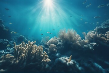 Fototapeta na wymiar Underwater sea in blue sunlight