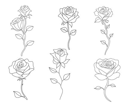 Continuous one line rose outline vector art drawing
