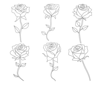 Continuous one line rose outline vector art drawing