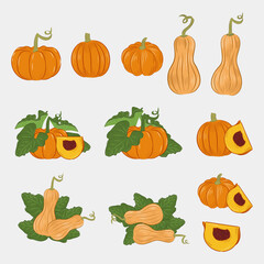 Set of fresh pumpkin.