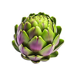 Fototapeta premium Artichoke isolated on transparent background