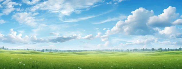 Fototapeten Green grass field agains the blue cloud sky, Generative AI © tonstock