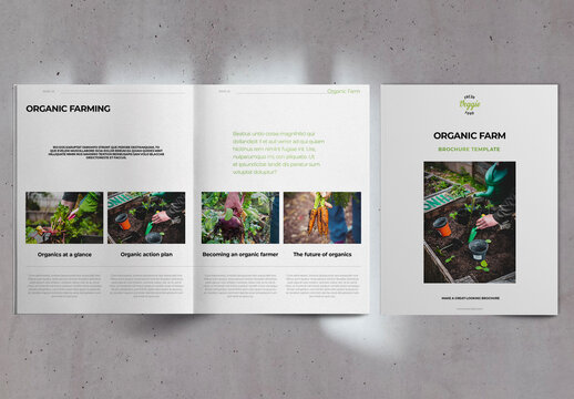 Organic Farm Promo Brochure Layout
