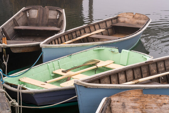 Colourful wooden rowing dinghies rafted together at a float in Center Harbor, Brooklin, Maine