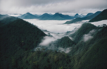 Panoramic jungle landscape with mountains and mist. Rainforest aerial view. Beautiful fog in the morning