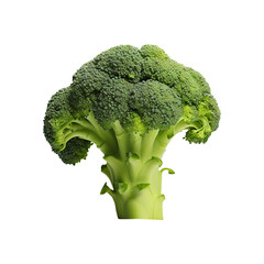 broccoli isolated on white