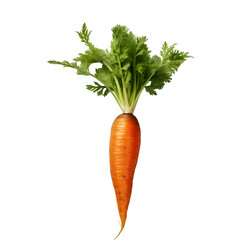 Carrot isolated on transparent background