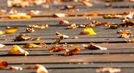A high angle shot of yellowed leaves on a wooden pontoon