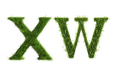 grass In the form of the XW
