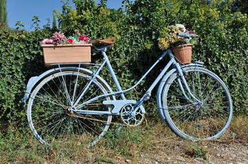 Fototapeta na wymiar Old blue bike with basket