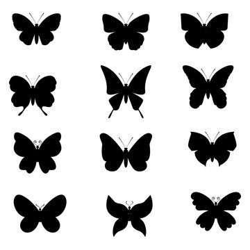 Butterfly SVG Bundle - Butterfly Clipart - Butterfly SVG Cut Files for Cricut, Butterfly Silhouette, Butterfly Vector