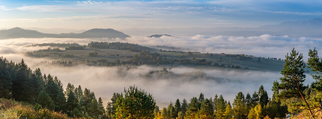 Misty mountain forest landscape in the morning, Pieniny mountains,  Little Poland - obrazy, fototapety, plakaty