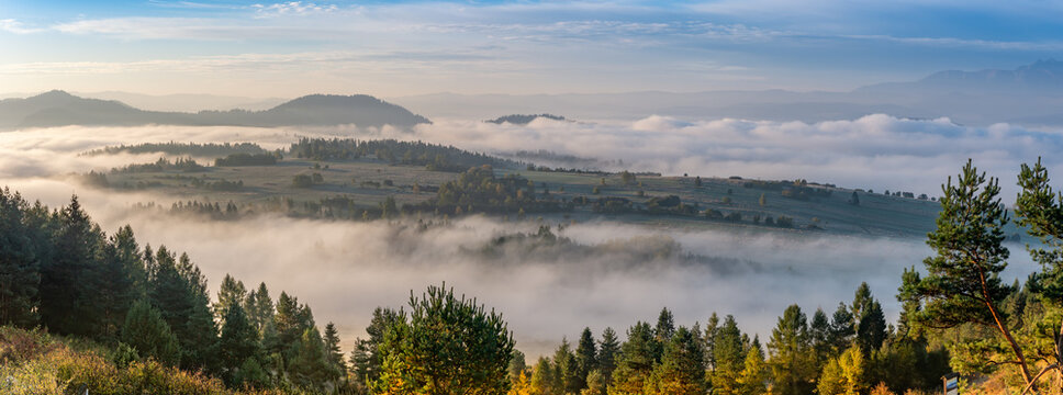 Fototapeta Misty mountain forest landscape in the morning, Pieniny mountains,  Little Poland