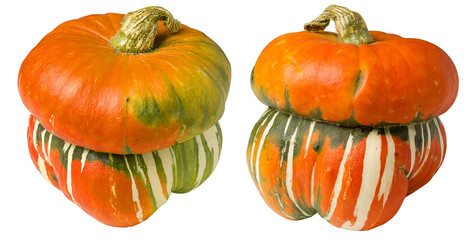 pumpkin isolated on white background