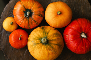 Autumn pumpkins on a wooden table close-up