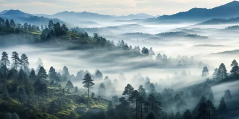 Fotobehang Foggy landscape with tir forest Background © Alicia