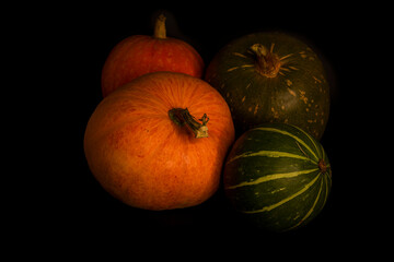 Orange and green pumpkins on a black background. Pumpkins are widely grown for commercial use, as well as for food, aesthetic, and entertaining Halloween decoration purposes.