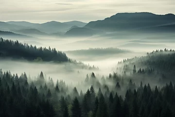 Papier Peint photo autocollant Forêt dans le brouillard Foggy landscape with tir forest Background