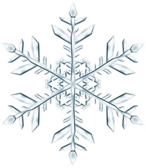 Big complex Christmas snowflake in gray colors