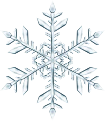 Fotobehang Big complex Christmas snowflake in gray colors © Olga Moonlight