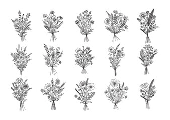 Set of flower bouquet vector. Hand drawn flower. Wildflower line art bouquets set, wild plant, botanical vector illustration