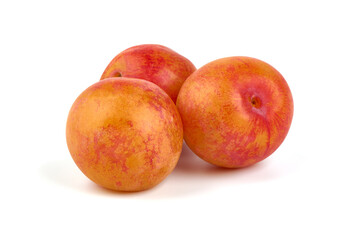 Fresh Aprium fruits, orange apricots, isolated on white background.