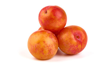Fresh Aprium fruits, orange apricots, isolated on white background.