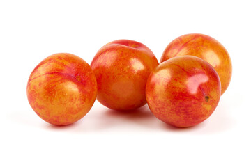 Fototapeta na wymiar Fresh Aprium fruits, orange apricots, isolated on white background.