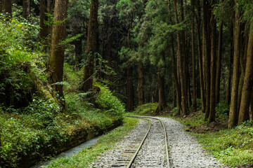 Train track in Alishan national park in Taiwan
