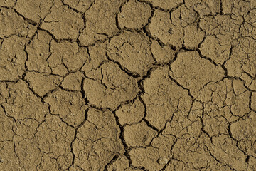 Texture patterns in dry ground. Where for a long time no water has fallen this will develop.