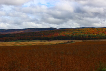 Fototapeta na wymiar Fall foliage landscape in Eastern Quebec