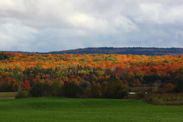 Fall foliage landscape in Eastern Quebec