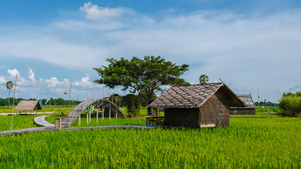 small homestay at the farm with a green rice paddy field in Central Thailand, bamboo huts at a...