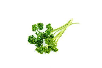 Parsley isolated on white background 