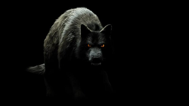 Spooky Wolf: The monster walks in the dark, baring its fangs, with terrifying eyes. Disturbing lighting creates a horror atmosphere. Includes channels