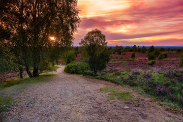 A gorgeous sunset on the Lunenburger Heath in Lower Saxony