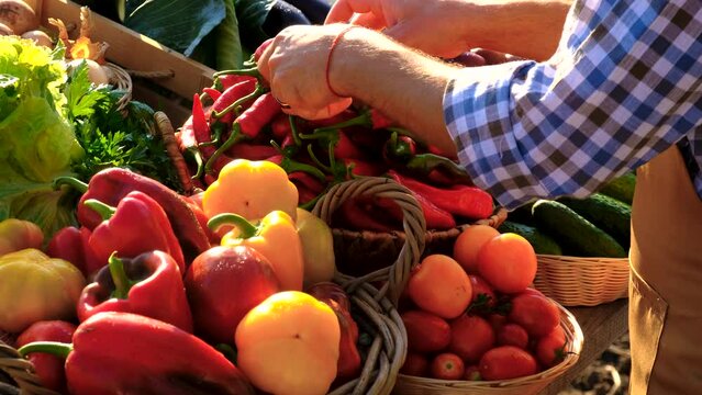 The farmer sells fruits and vegetables at the farmers market. Selective focus.