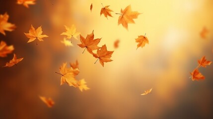 Realistic falling leaves. Autumn forest maple leaf in september season, flying orange foliage from tree on ground background