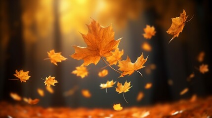 Naklejka na ściany i meble Realistic falling leaves. Autumn forest maple leaf in september season, flying orange foliage from tree on ground background