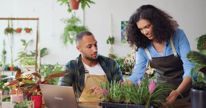 African american couple working in own flower shop. Man typing on laptop doing inventory and woman in apron showing plants talking with male colleague. Teamwork and collaboration. small bright flower