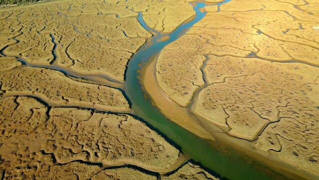 Perfect meandering river and river basin