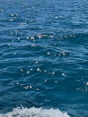 Naklejka premium water background