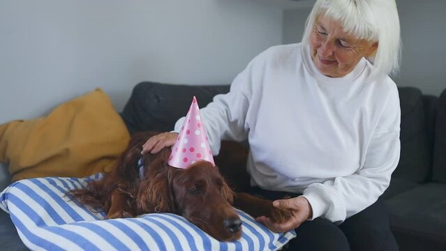 Smiling 50s senior woman cuddling irish setter dog while sitting on couch in bedroom. Middle aged woman enjoys spending time at home with her pets