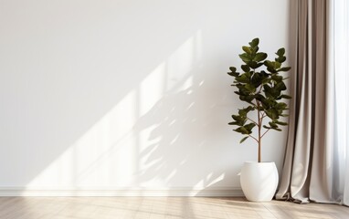 Plant against a white wall mockup. White wall mockup with brown curtain, plant and wood floor