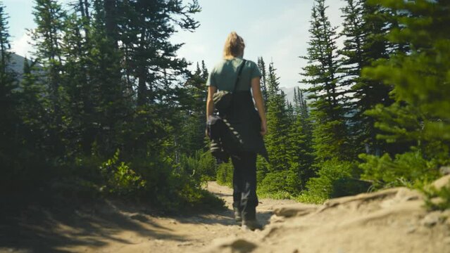 A women are hiking, in the woods of Jasper National Park in Canada. Overlooking a forest on a clear blue day - hiking at the Parker Ridge Trail in the Rocky Mountains