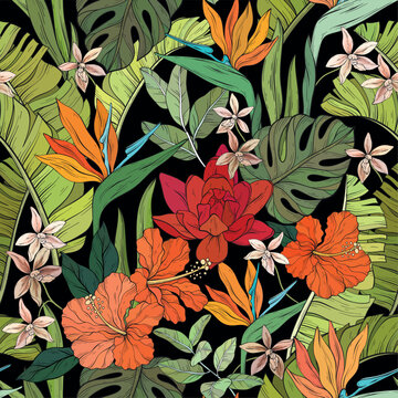 tropical pattern with various flowers